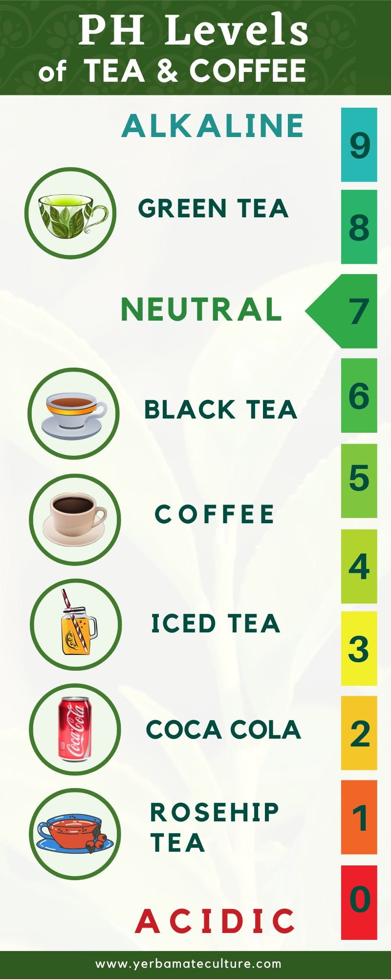 Tea vs Coffee Acidity Which One is More Acidic?