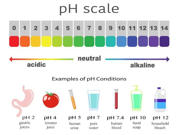 pH scale