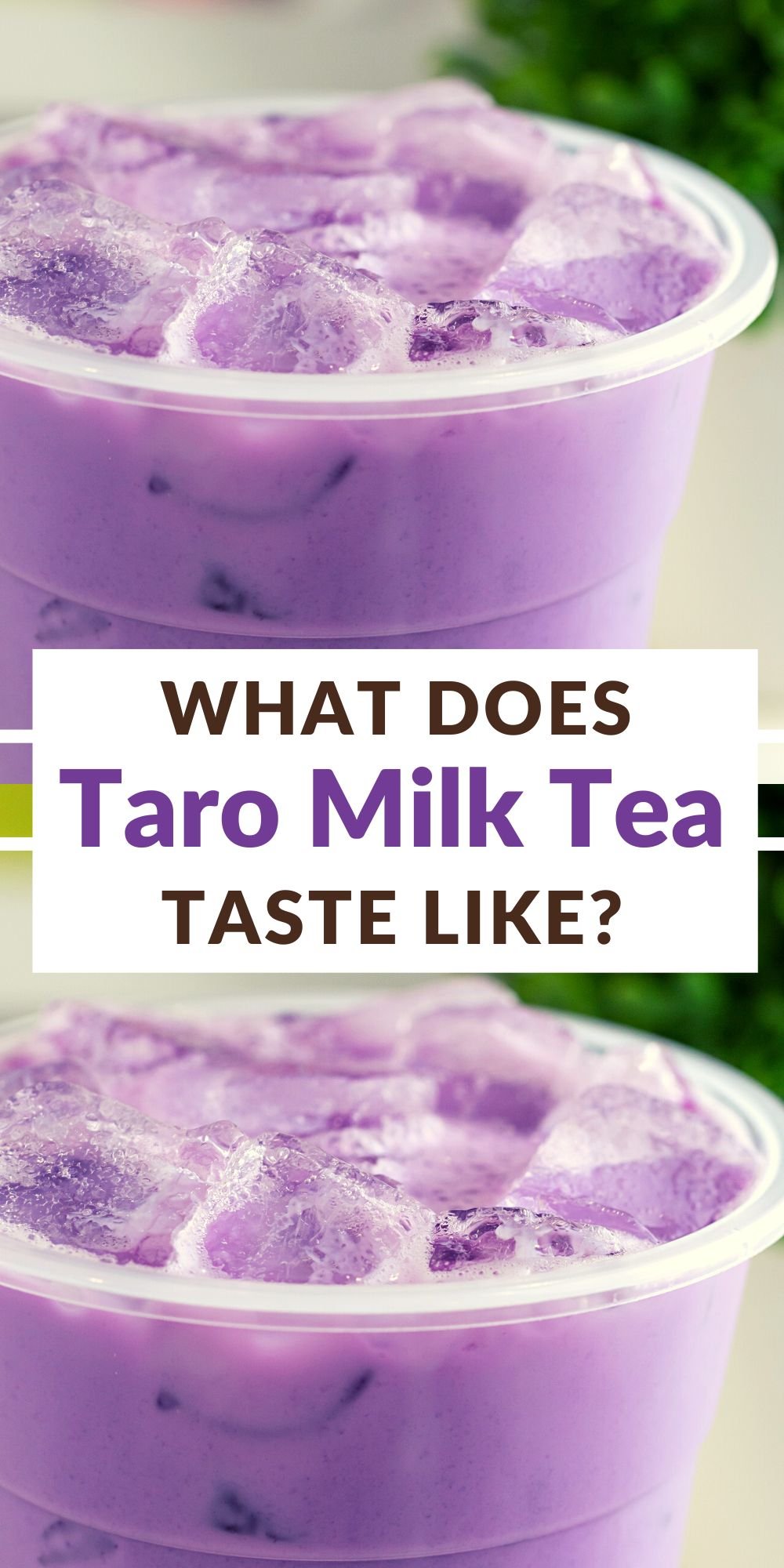 What Does Taro Milk Tea Taste Like