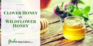 Clover vs Wildflower Honey