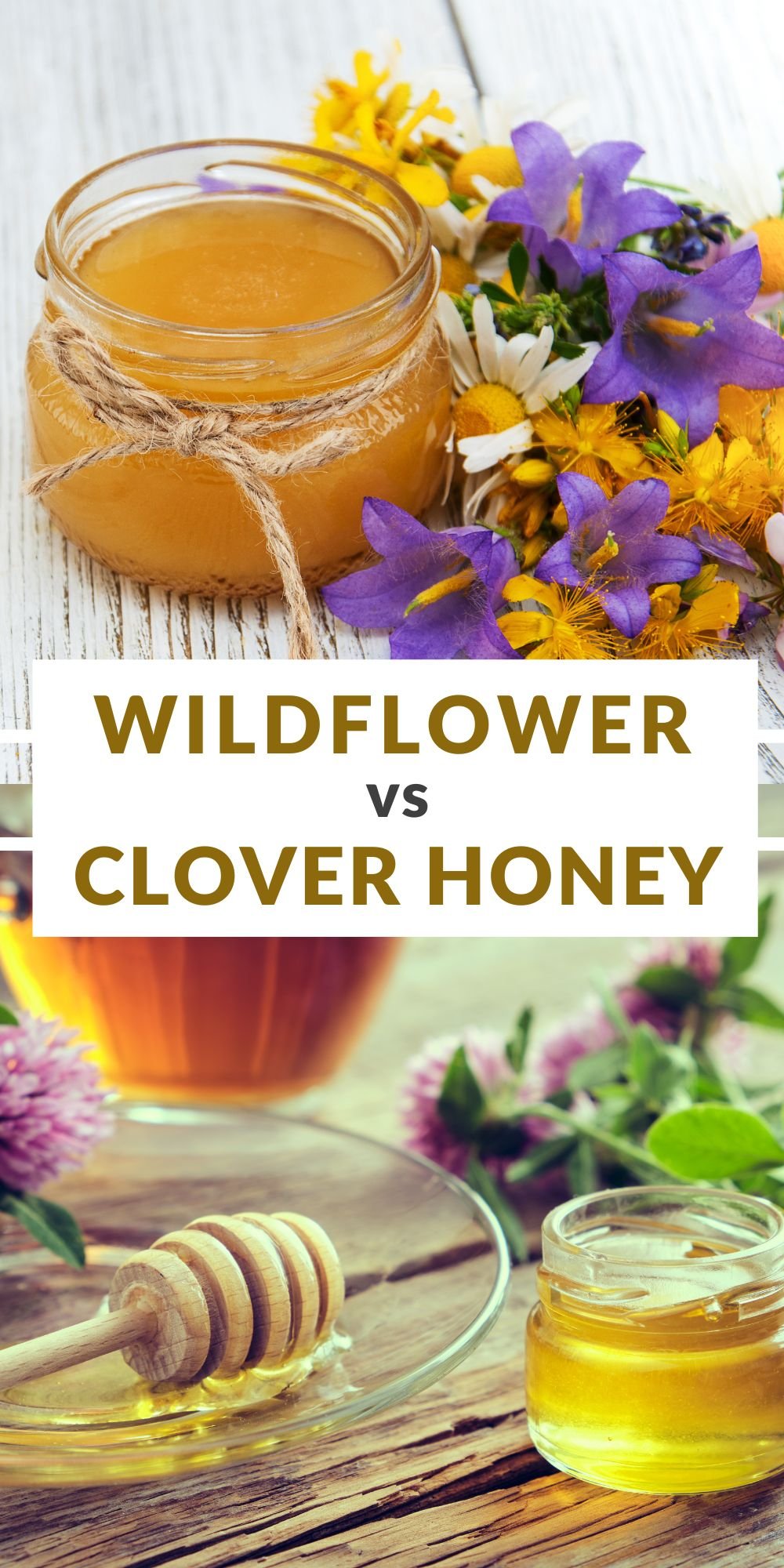 Wildflower Honey vs Clover Honey