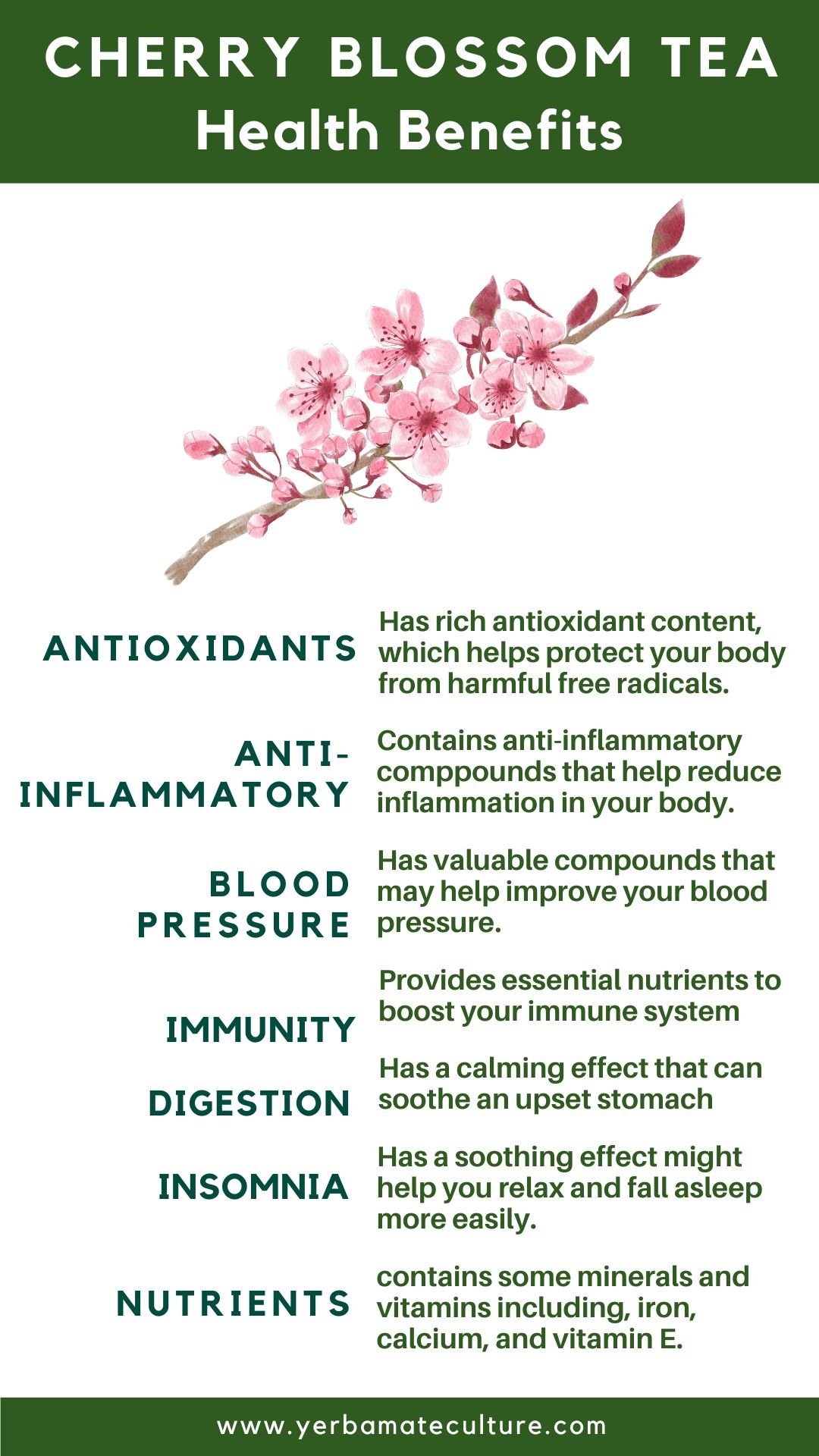 Cherry Blossom tea benefits
