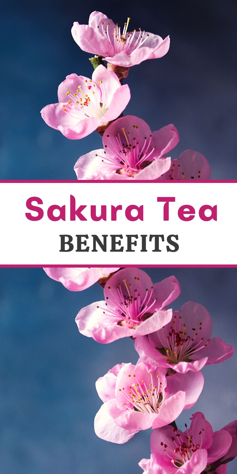 Sakura Tea Benefits