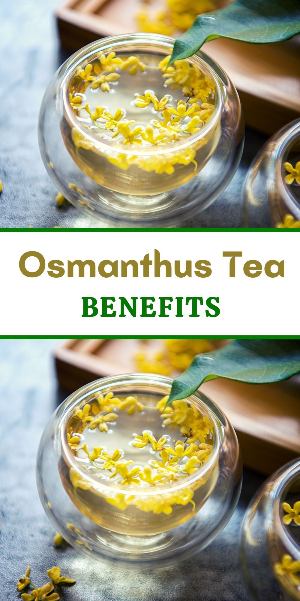 Osmanthus Tea Benefits