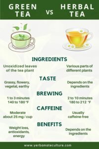 Green Tea vs Herbal Tea: How Are They Different?