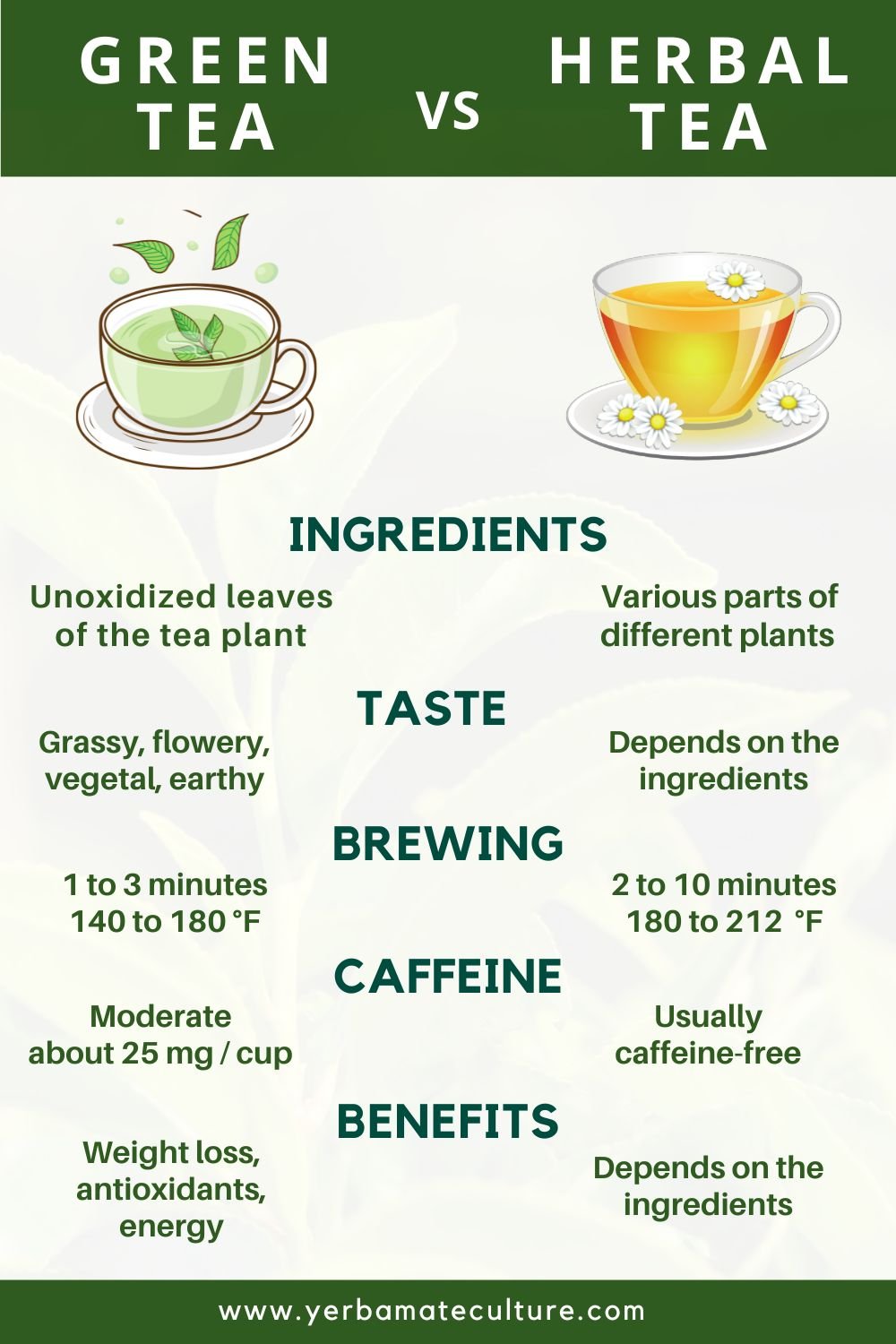 green tea vs herbal tea infographic