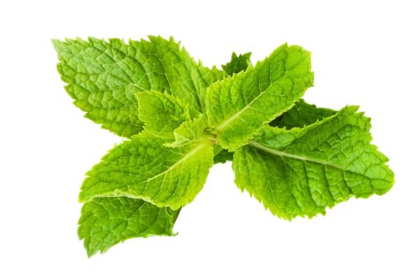 peppermint leaves