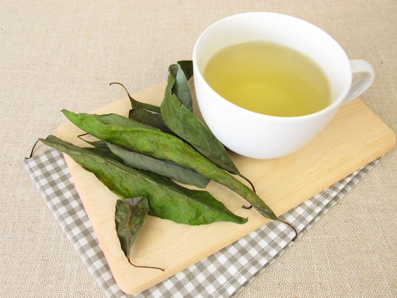 avocado leaf tea in a mug