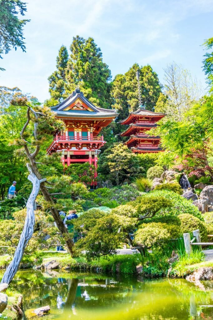japanese Tea garden