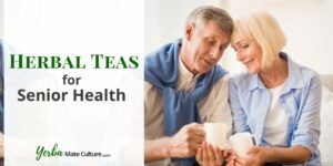 Teas for Senior Health