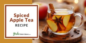 Spiced Apple Tea Recipe
