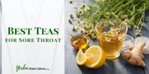 Best Tea for Sore Throat