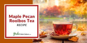 Maple Pecan Rooibos Tea FP