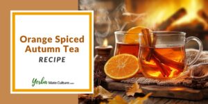 Orange Spiced Tea