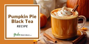 Pumpkin Pie Tea Recipe