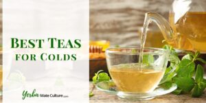 Best Teas for Colds