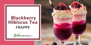 Blackberry Hibiscus Tea Frappe Recipe