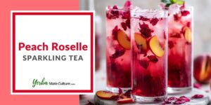 Peach Roselle Sparkling Tea